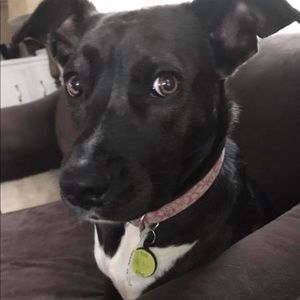 Meet your Posher, Tracy